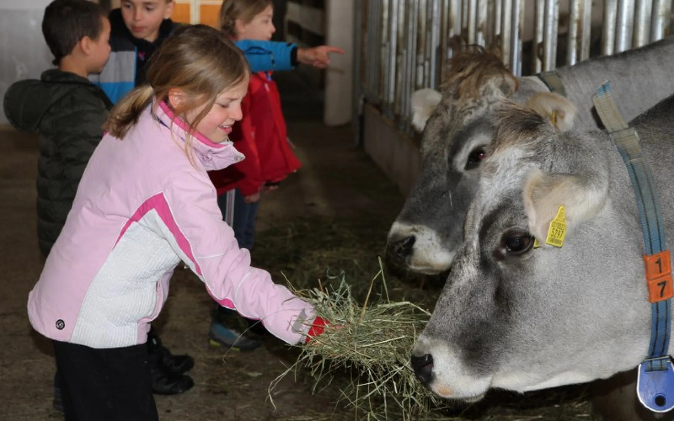 20230414_SAB-Gewinnspiel GS Laurein 168_800x533.JPG